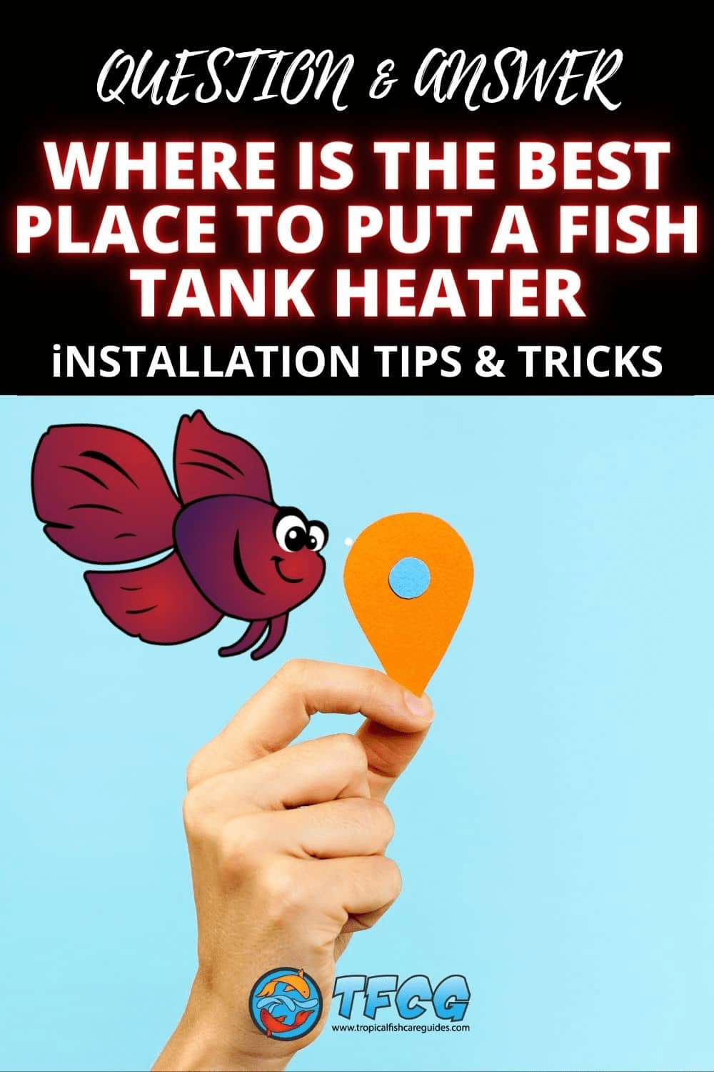 Where Is The Best Place To Put A Fish Tank Heater? TFCG