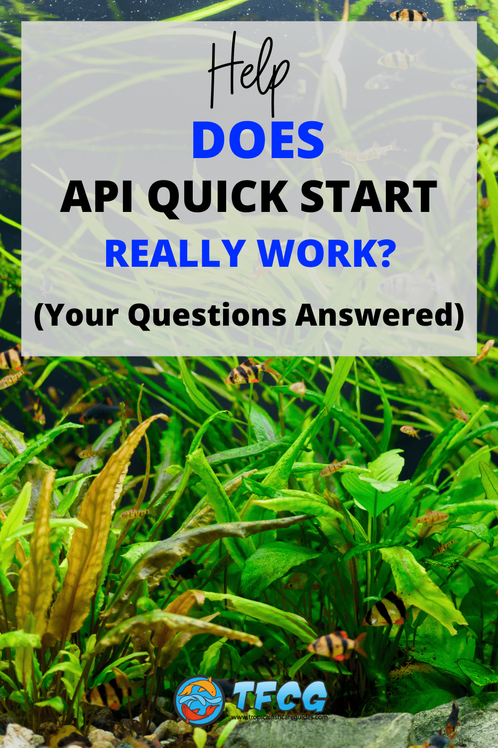 Does API Quick Start Work? Fish Cycling Bacteria Review