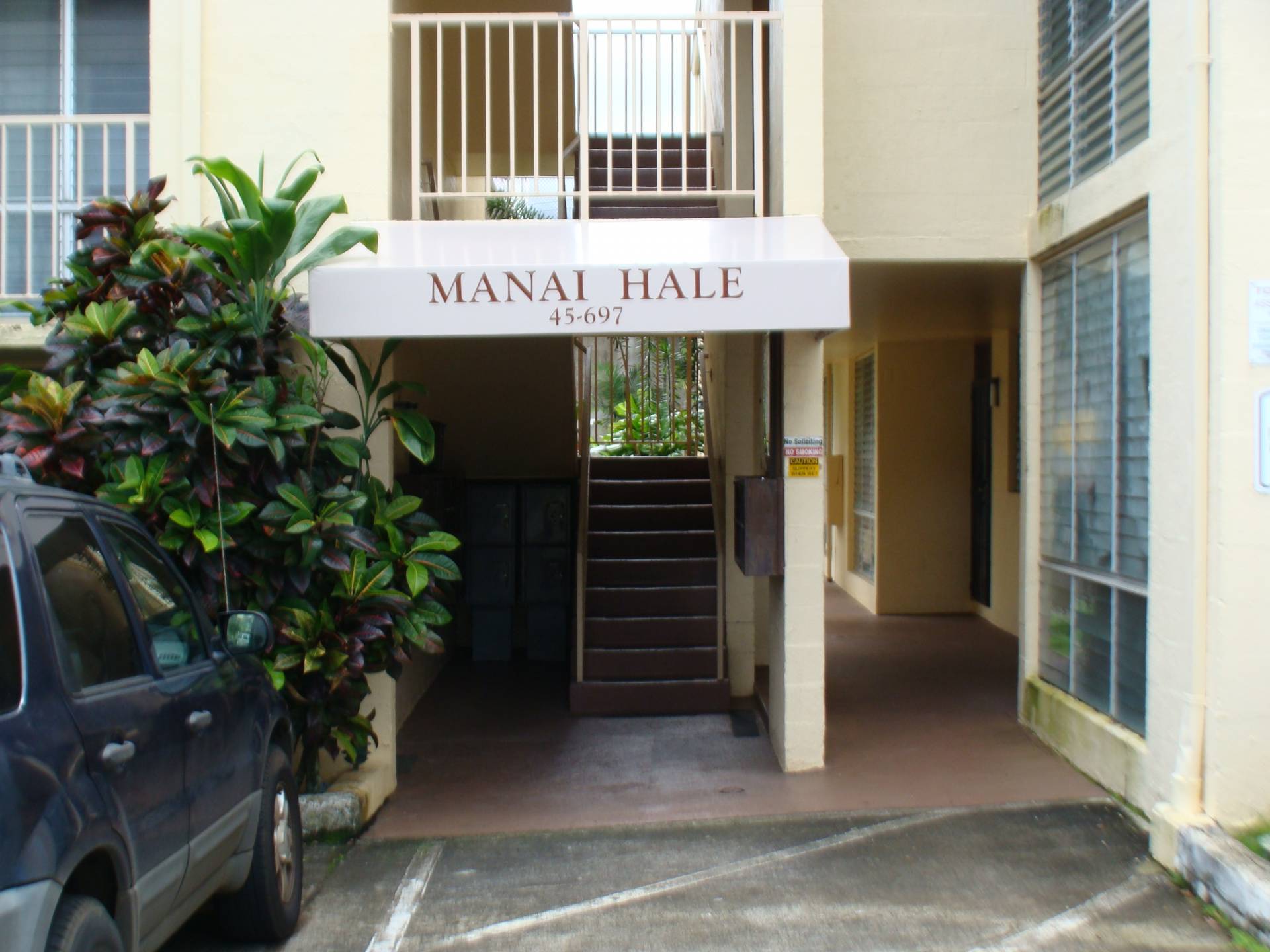 Manai Hale Tropical J's