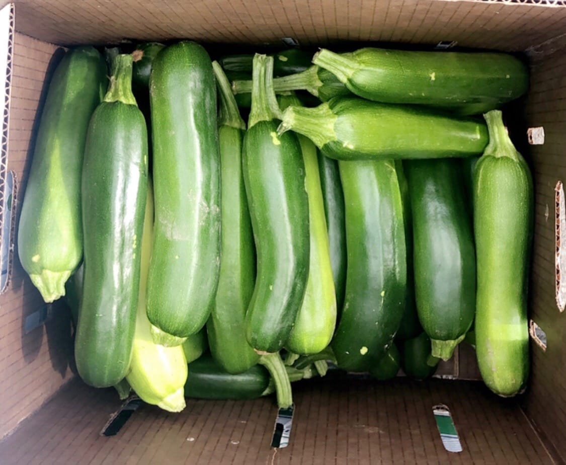 Zucchini Local BC 3 lb. TROPICAL PRODUCE