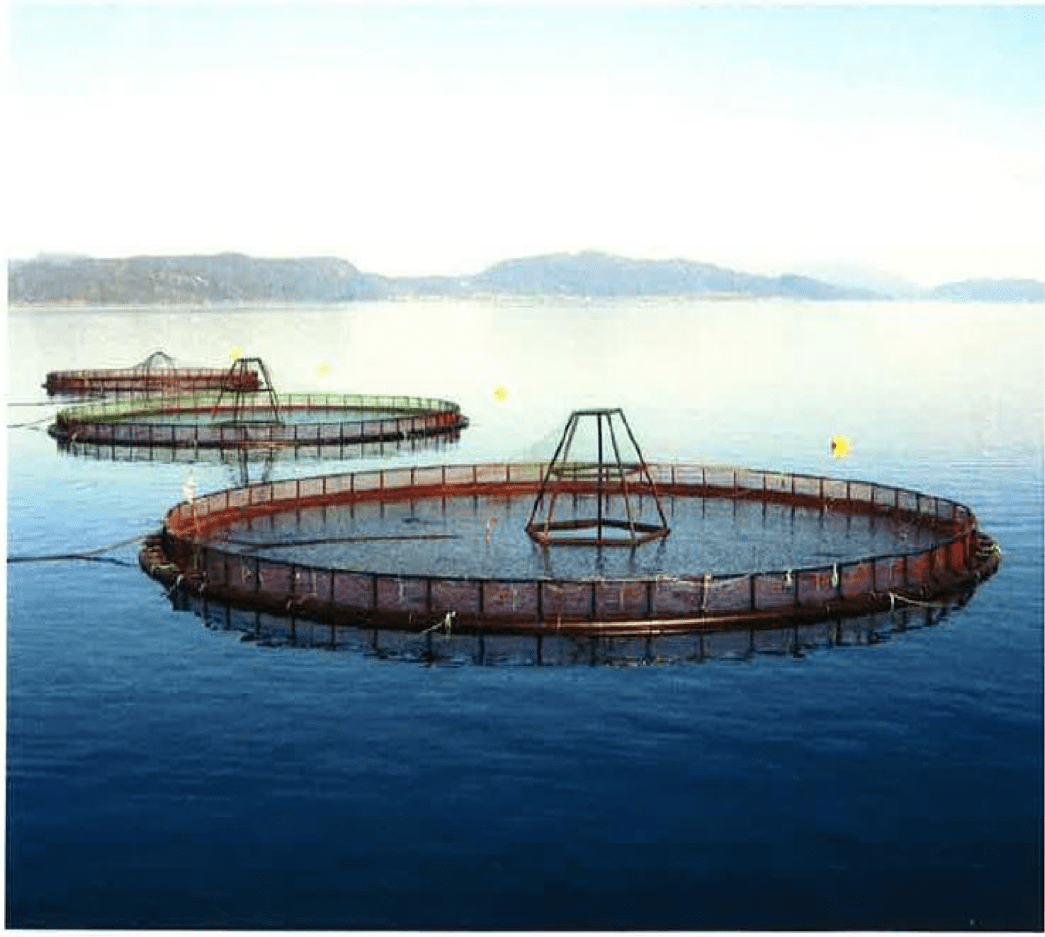 Future Seafood Supplies. Tropic Seafood