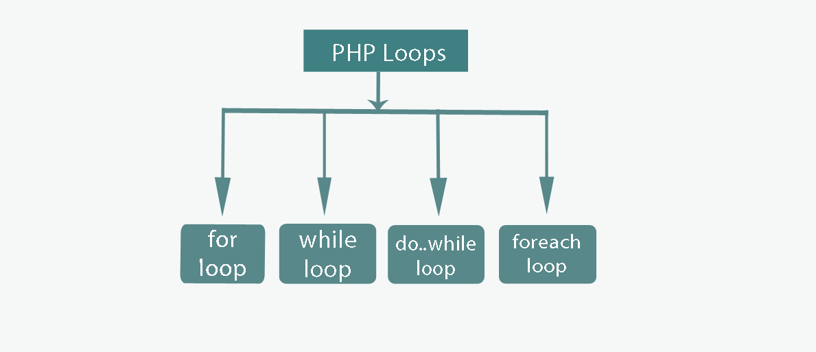 PHP Loop For, While, Do While And Foreach Troposal