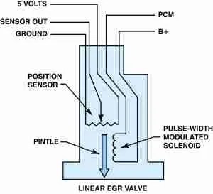 Egr Valve Wiring Diagram Collection