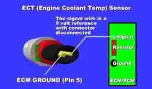 Engine coolant temperature sensor (ECT) – TroubleCodes.net