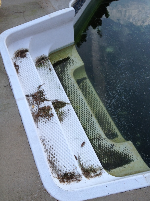 pool opening steps.JPG Trouble Free Pool