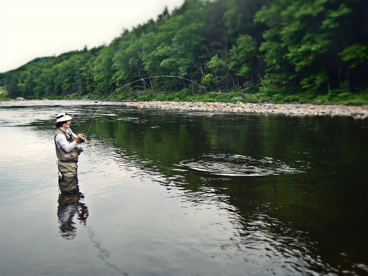 Massachusetts Fly Fishing Trout Haven