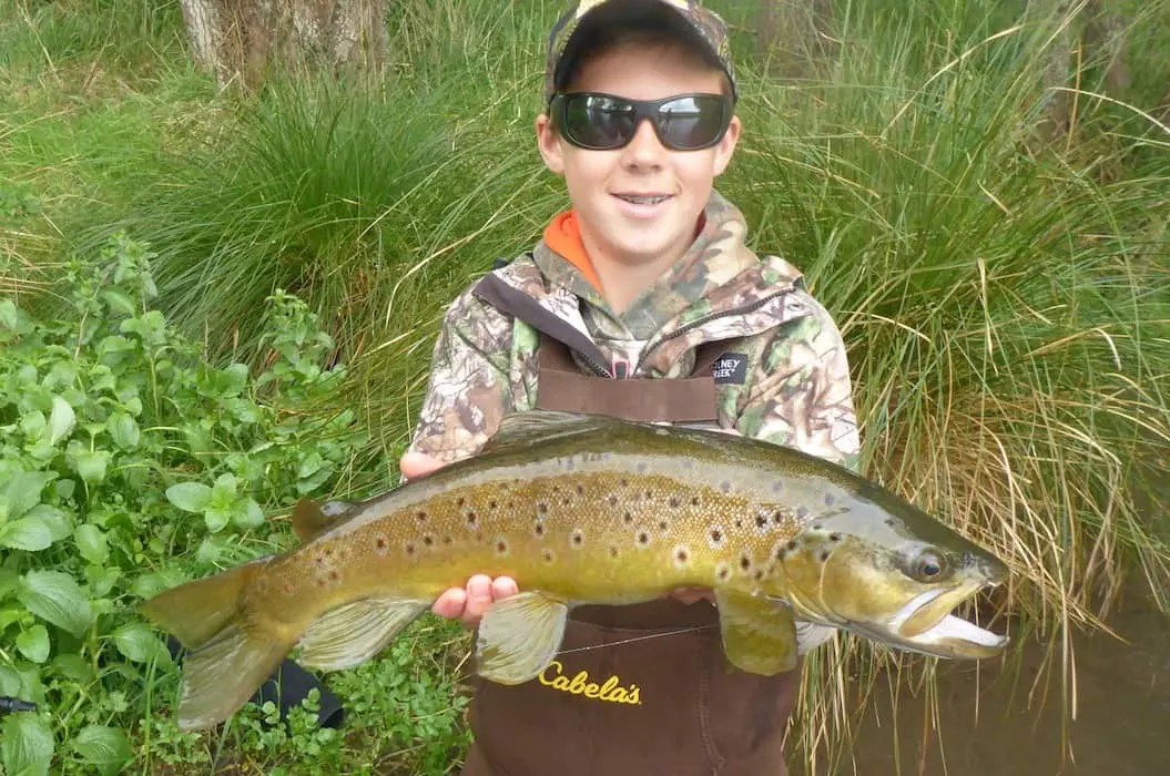 2020 Fly Fishing Season, Helping Kiwi Anglers have a Fly Fishing