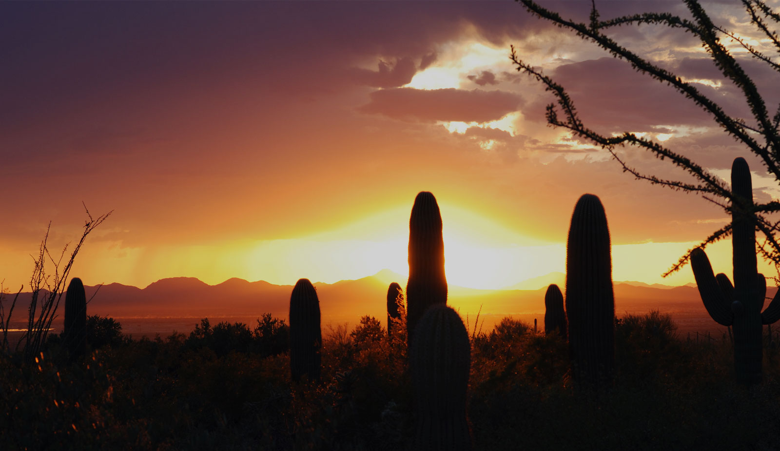 Property Management Tucson Realty & Trust Co. Management Services