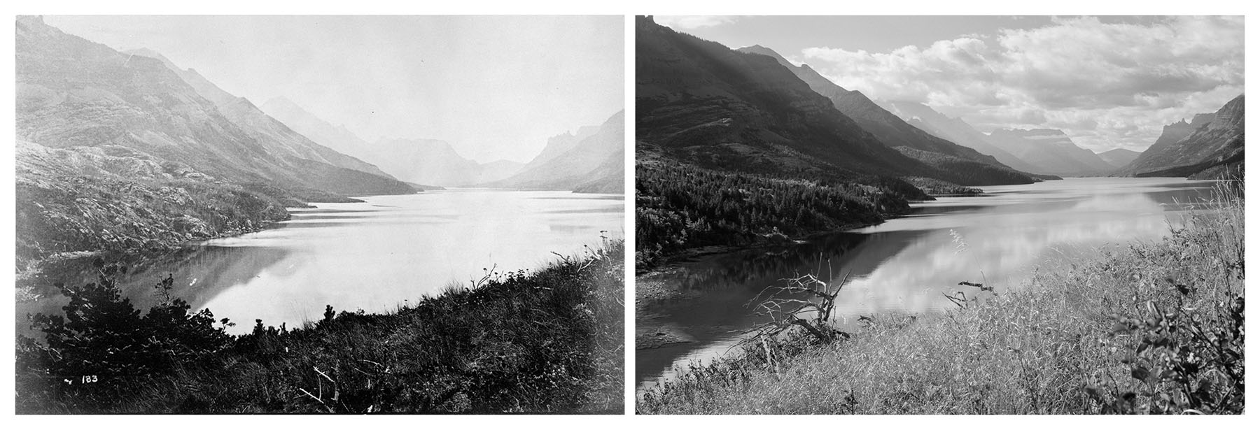 Life and Death in Waterton Lakes National Park Trudi Lynn Smith