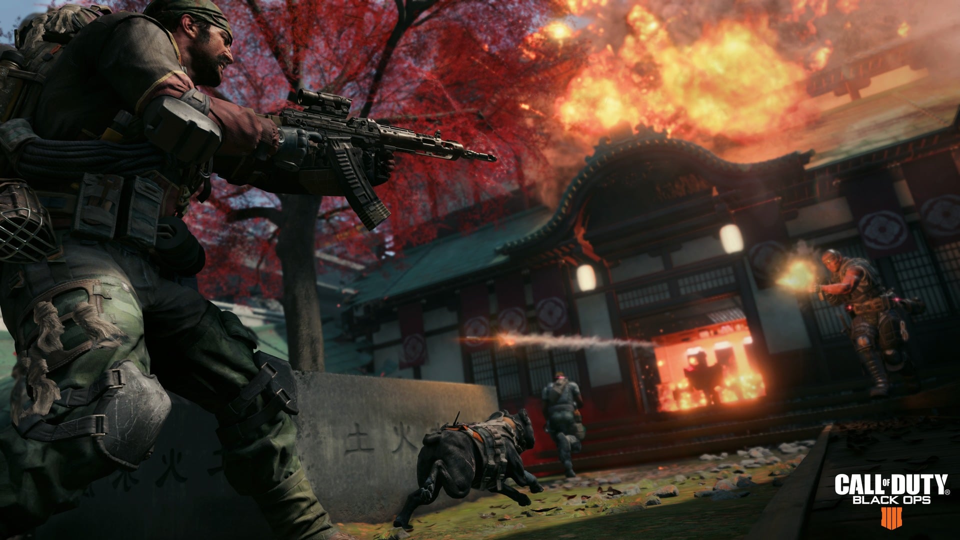 Call of Duty Black Ops 4 Update Focuses on Multiplayer and Blackout