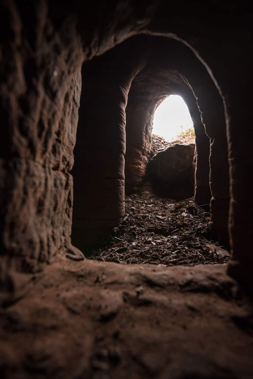 It Looks Like A Rabbit Hole, But What The Tunnel Leads To