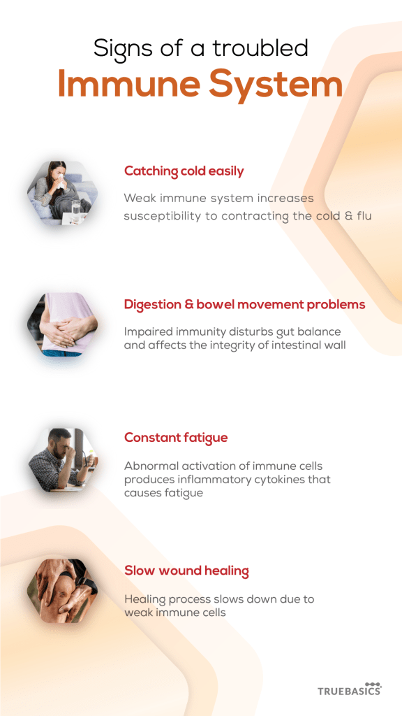 Signs Your Immune System Needs Your Attention TrueBasics