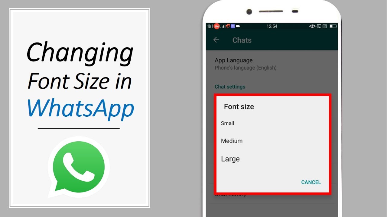 How to Change the Font Size of WhatsApp on iPhone