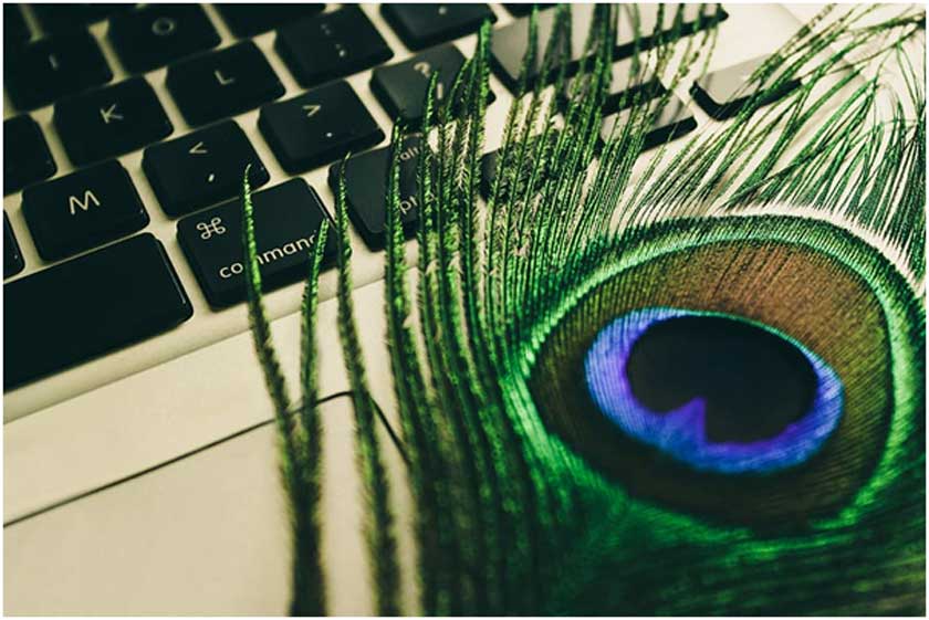 Peacock TV Cost, App, Shows, And More NBC Streaming Service Details