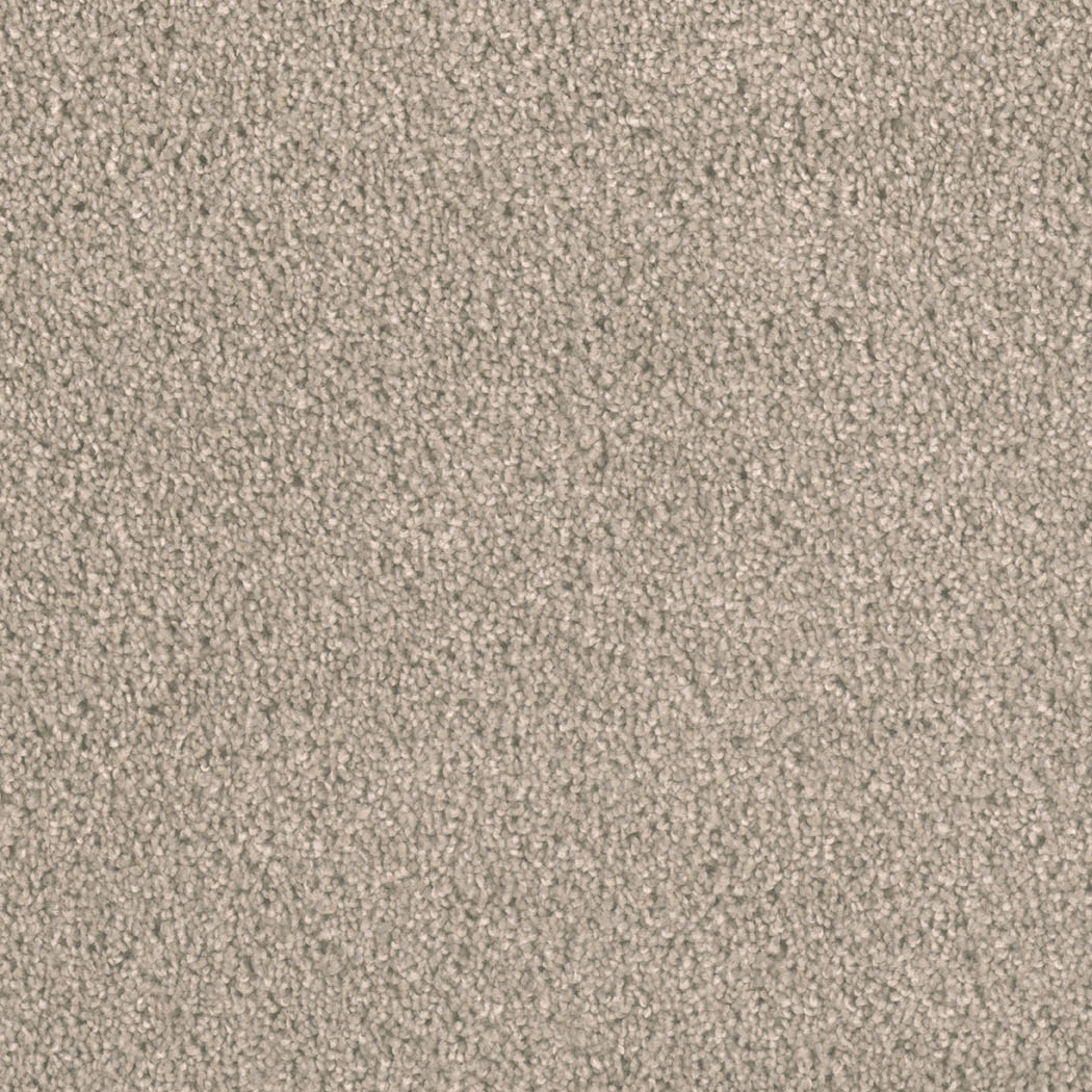 Dream Weaver Carpet Big Time Marble Chips Discount Pricing