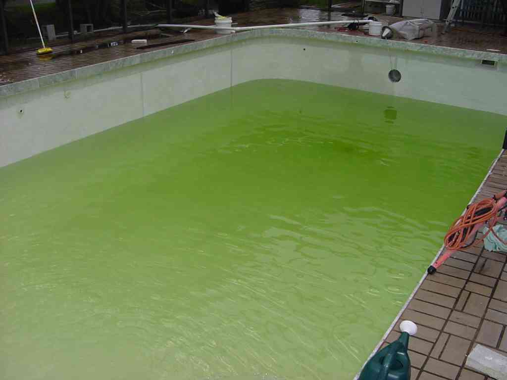 Swimming Pool Plastering DoItYourself Project