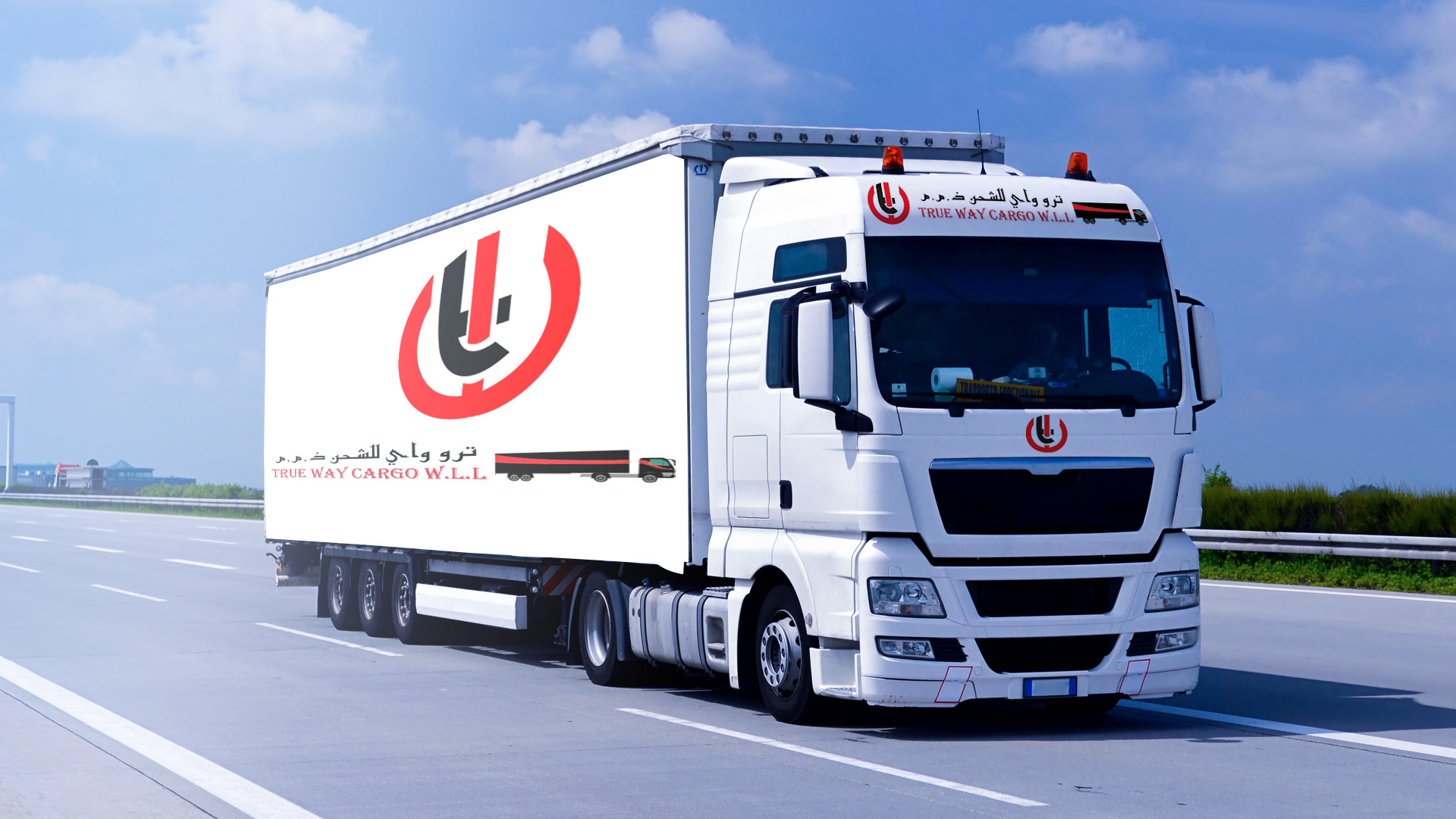 TRUE WAY CARGO Air Freight ogistics and shipping Sea Freight