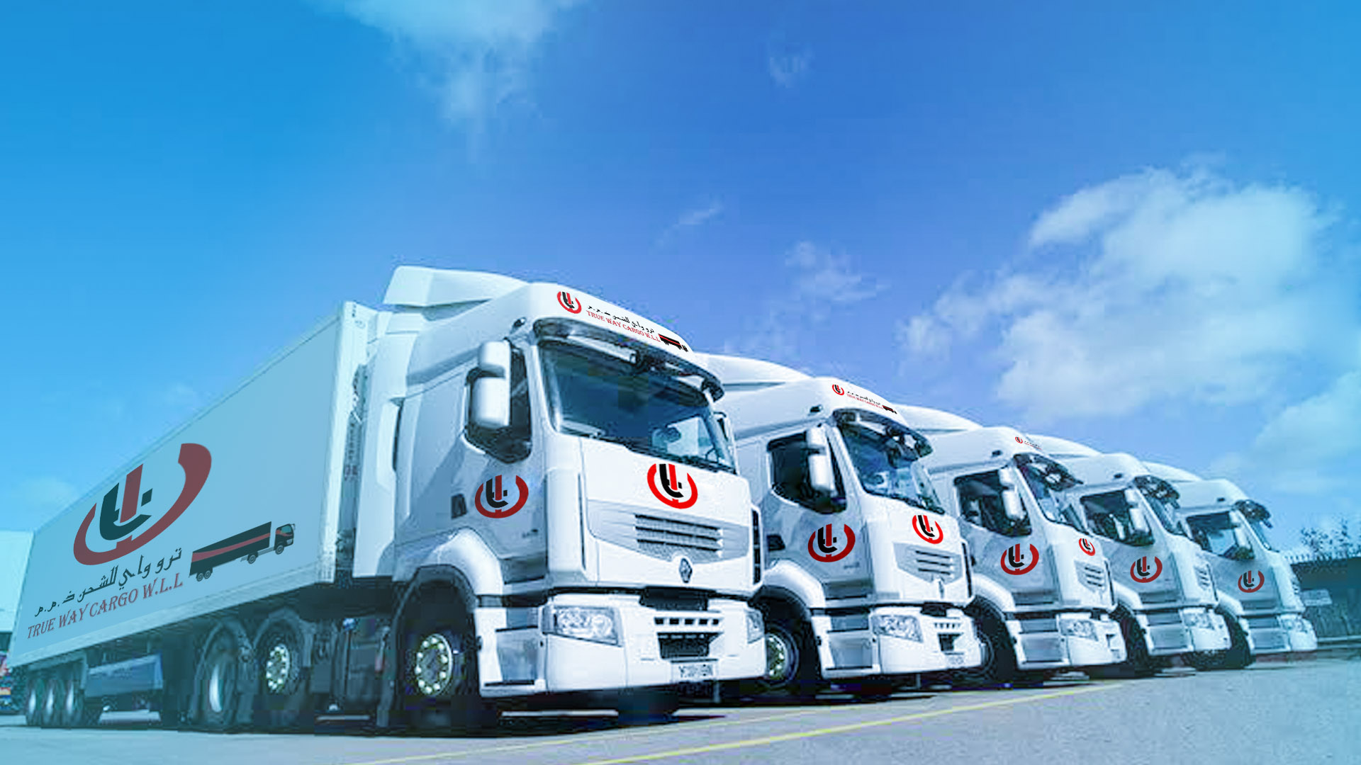 TRUE WAY CARGO Air Freight ogistics and shipping Sea Freight