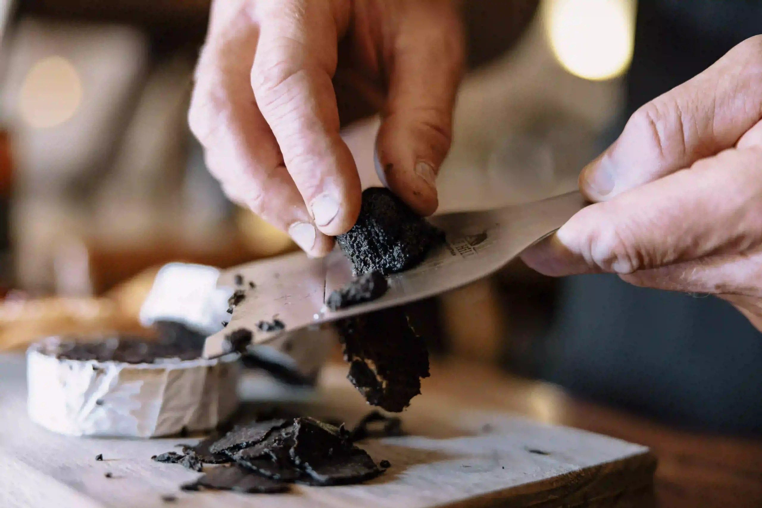 What Does Truffle Taste Like Earth's Hidden Culinary Jewel