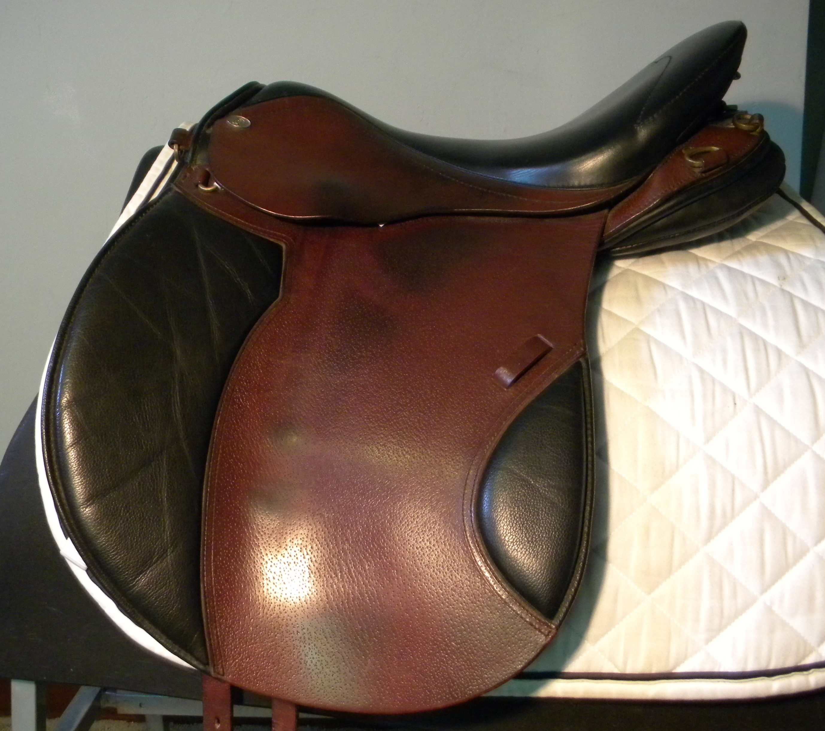 Duett Companion Trail 17.5" 34cm Trumbull Mountain Tack Shop