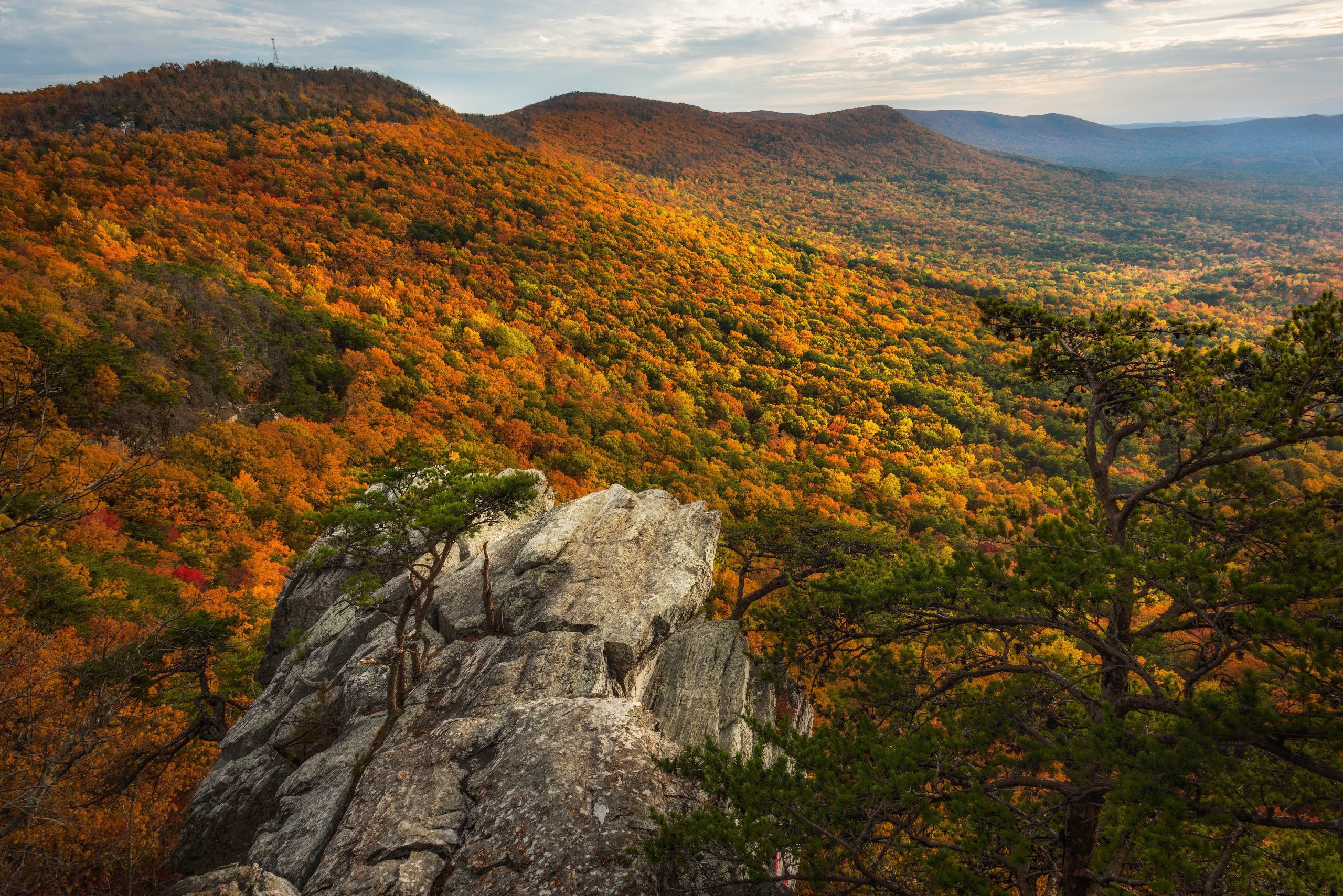 Outdoor Alabama Photo Contest opens August 2 The Trussville Tribune