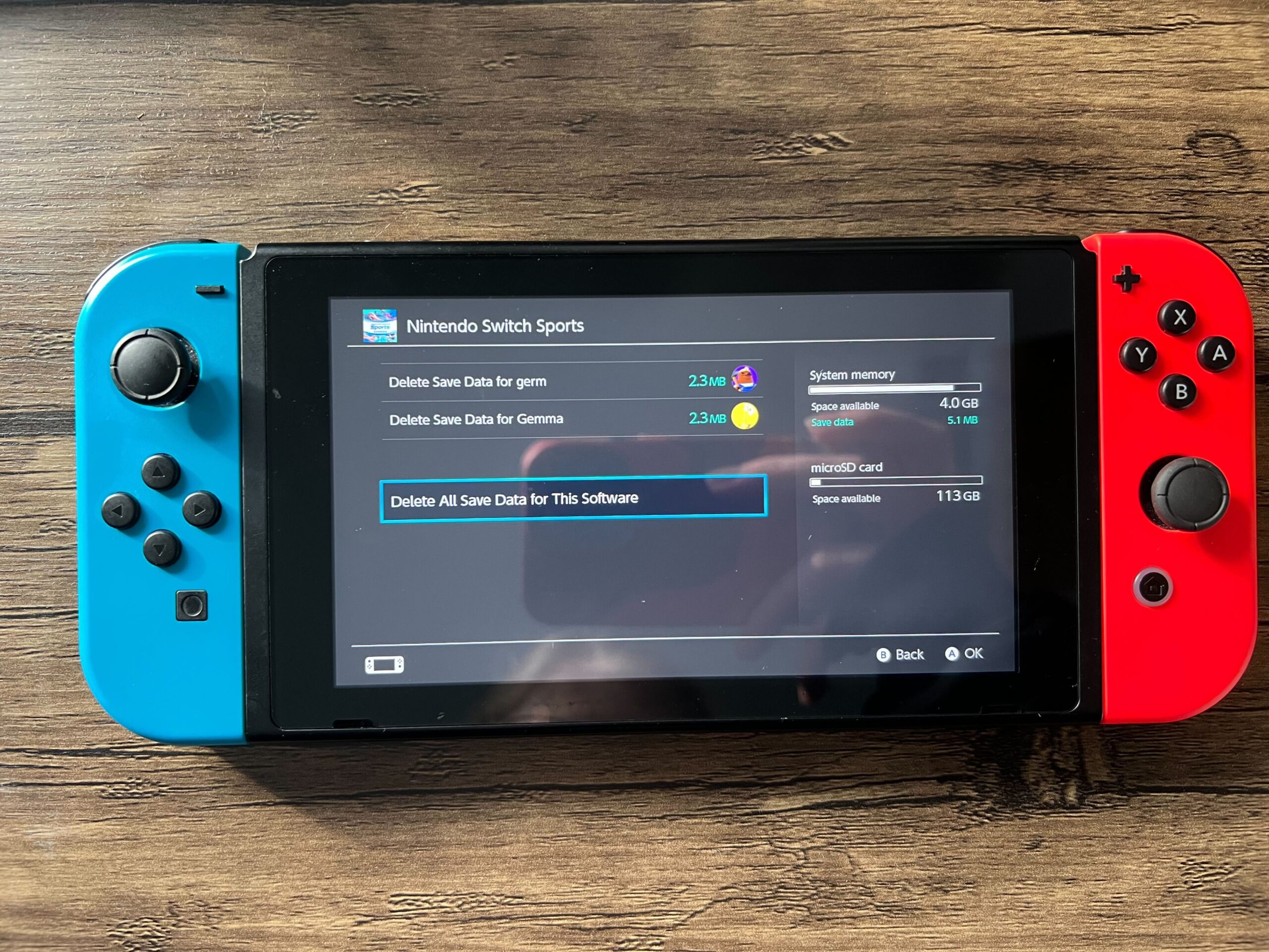 How to delete save data on Nintendo Switch