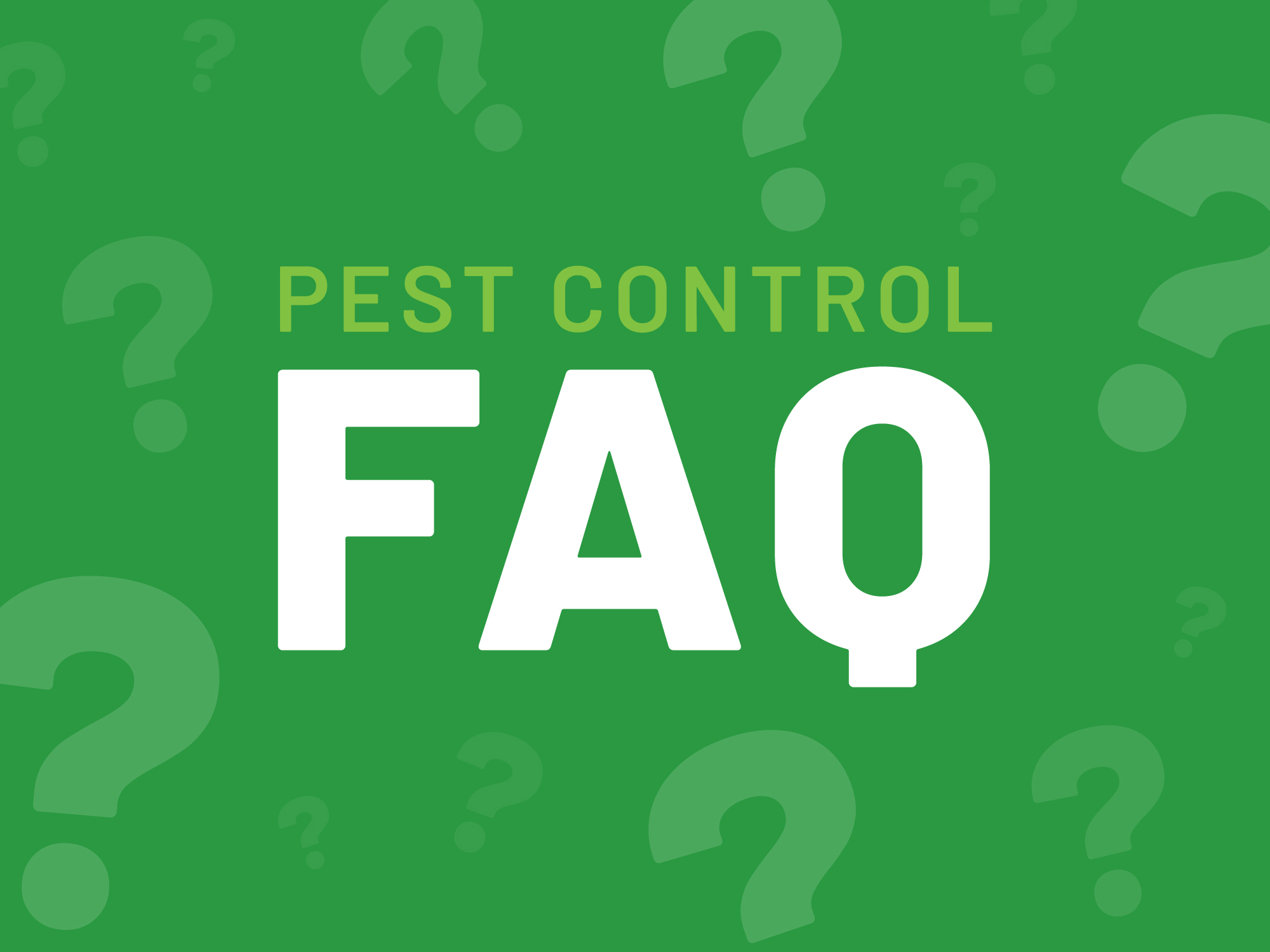 Answering All Your Pest Control Questions TrustTerminix