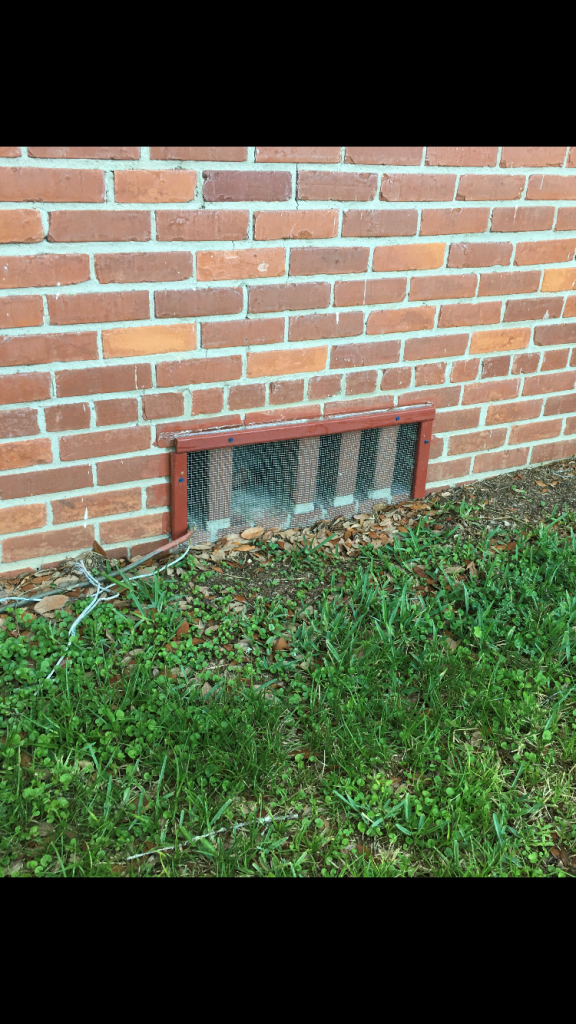 Now to Keep Rats Out Rat Pest Control in Jacksonville
