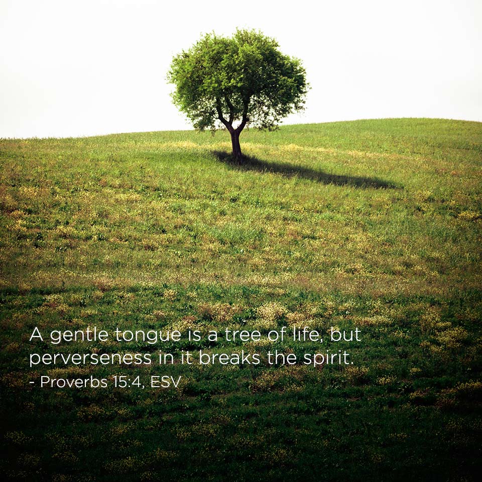 Tree Of Life Quotes. QuotesGram