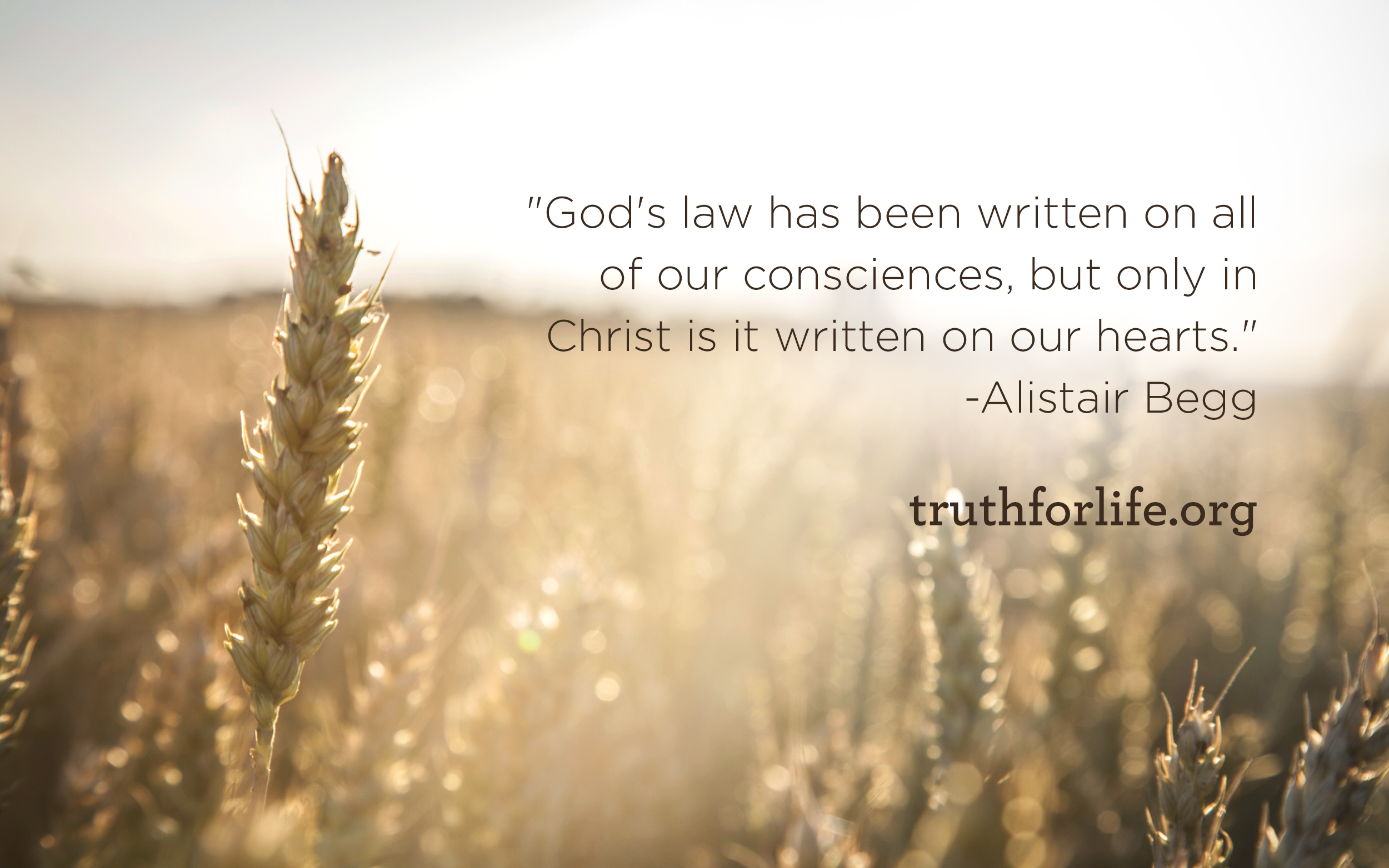 Written On Our Hearts Wallpaper Truth For Life