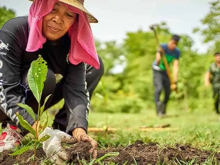 10 Tree Planting Projects & How to Start Your Own