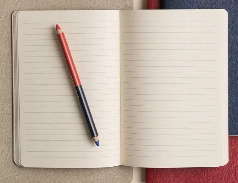 14 Best Eco Friendly Notebooks and Journals for Sustainable Writing