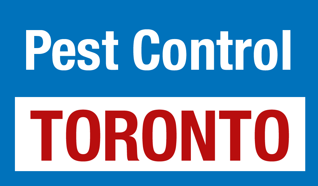 Pest Control Toronto 6479316581 Try Canada