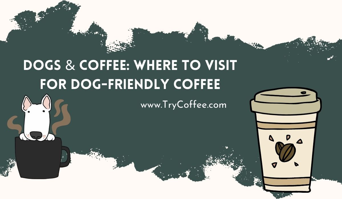 Dogs & Coffee [Where to Visit for DogFriendly Coffee and a Meal]