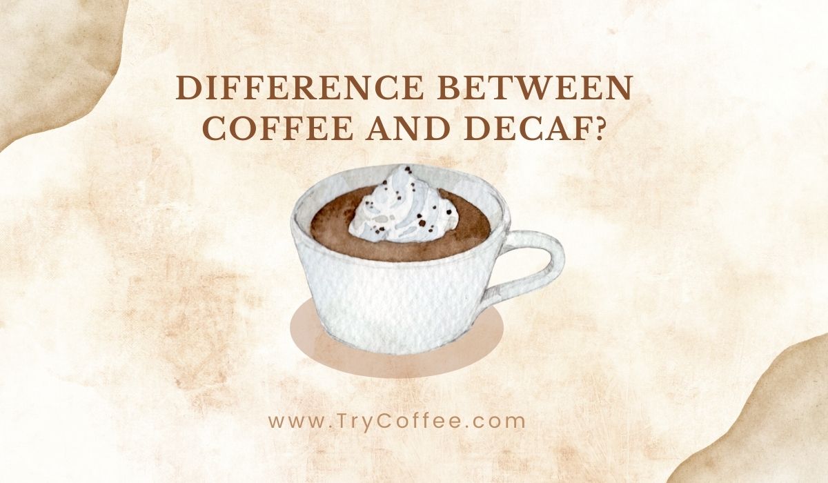 Difference Between Coffee and Decaf? (A Clear Concept) Try Coffee