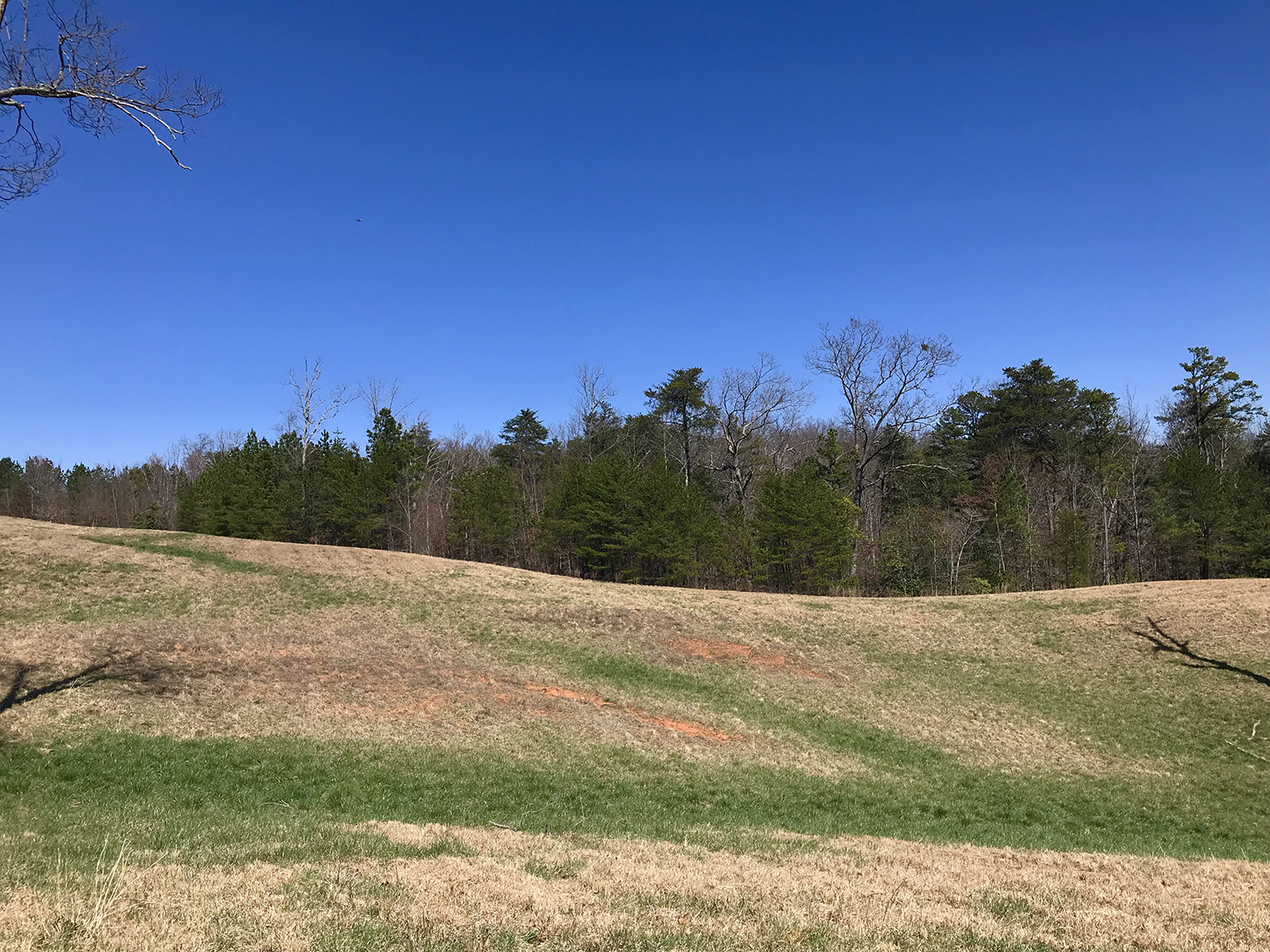 Think Horse Country SOLD Tryon Properties