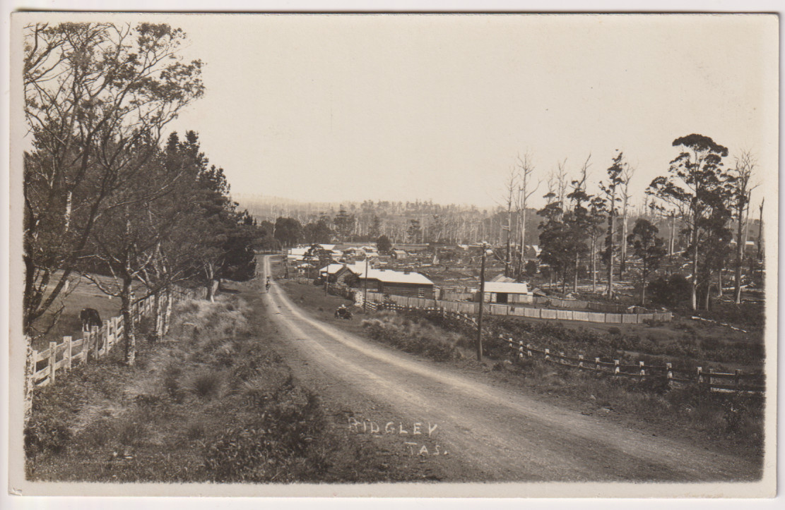 (WS1135) TASMANIA · c.1930 unused real photo card by Ernest Winter