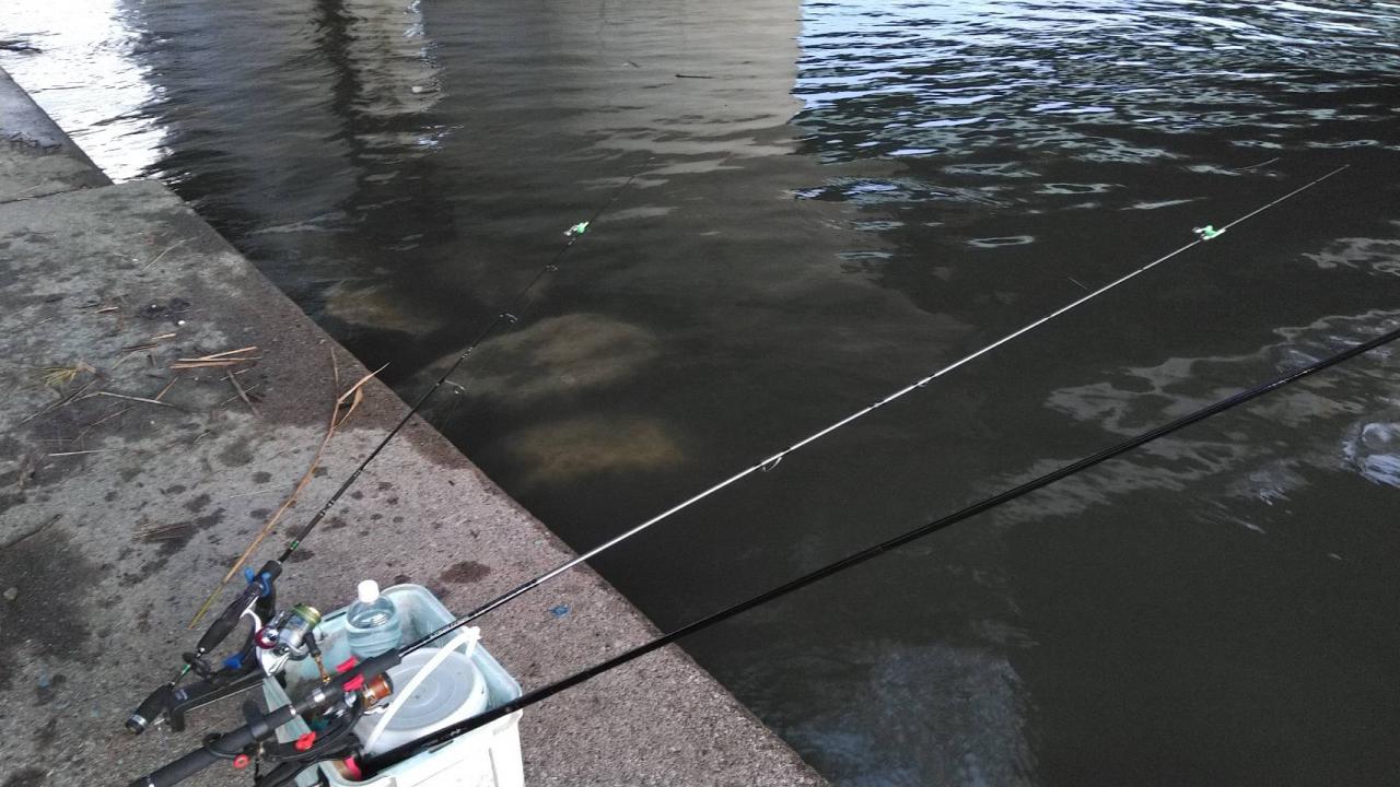 潮彩漁業部 うなぎ釣り 庄内魚河岸酒場潮彩