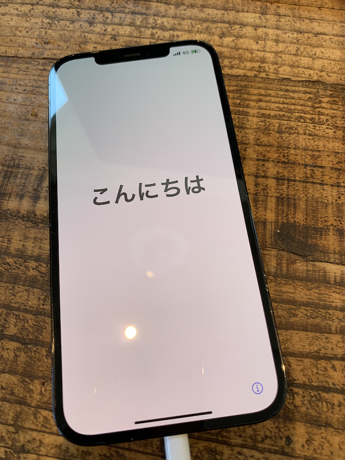 リンゴループに陥った iPhone 12 Pro MAX の復活方法 立花岳志が より自由で楽しい人生を追求しシェアするブログ