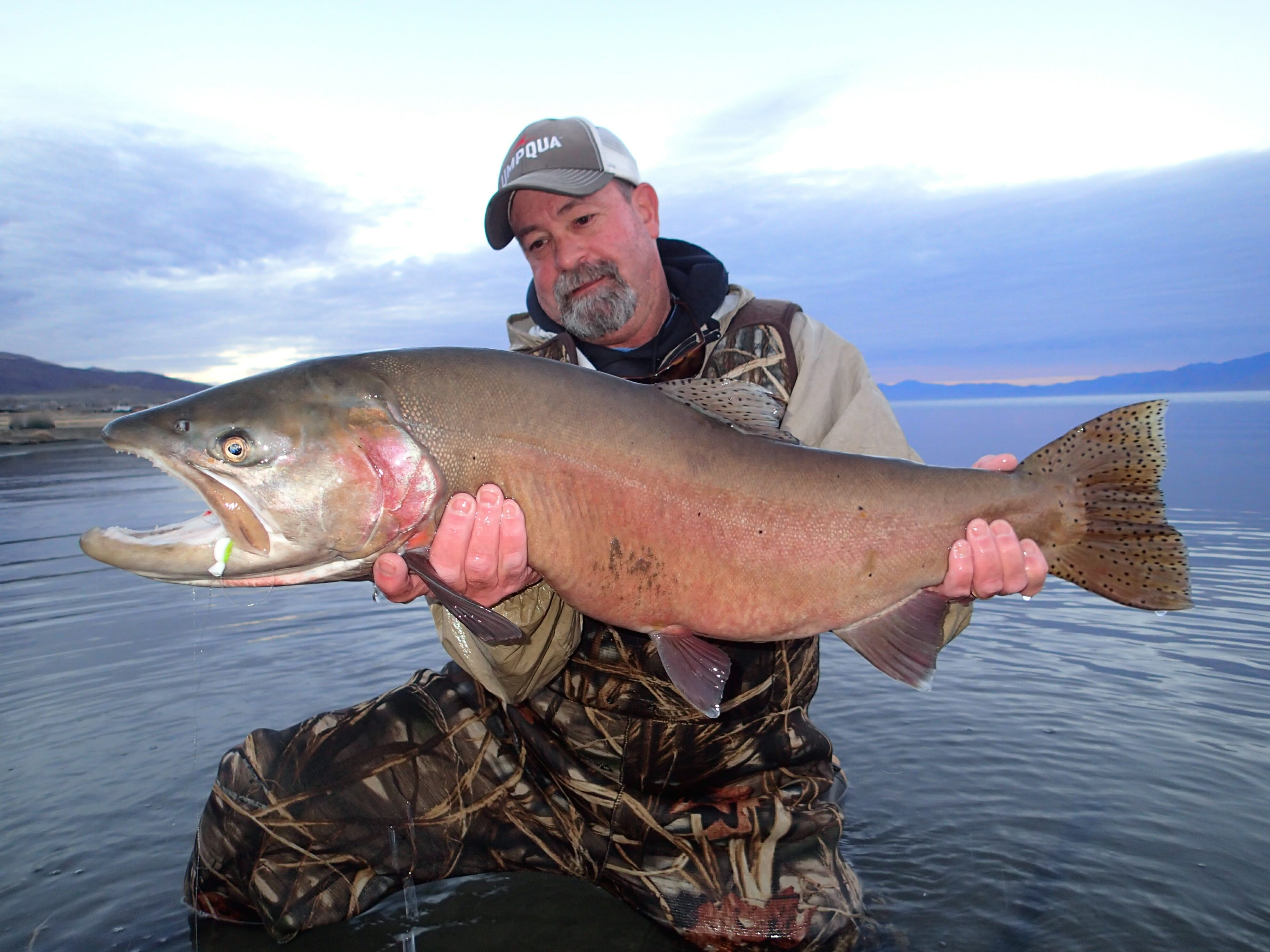 Lahontan Cutthroat Trout