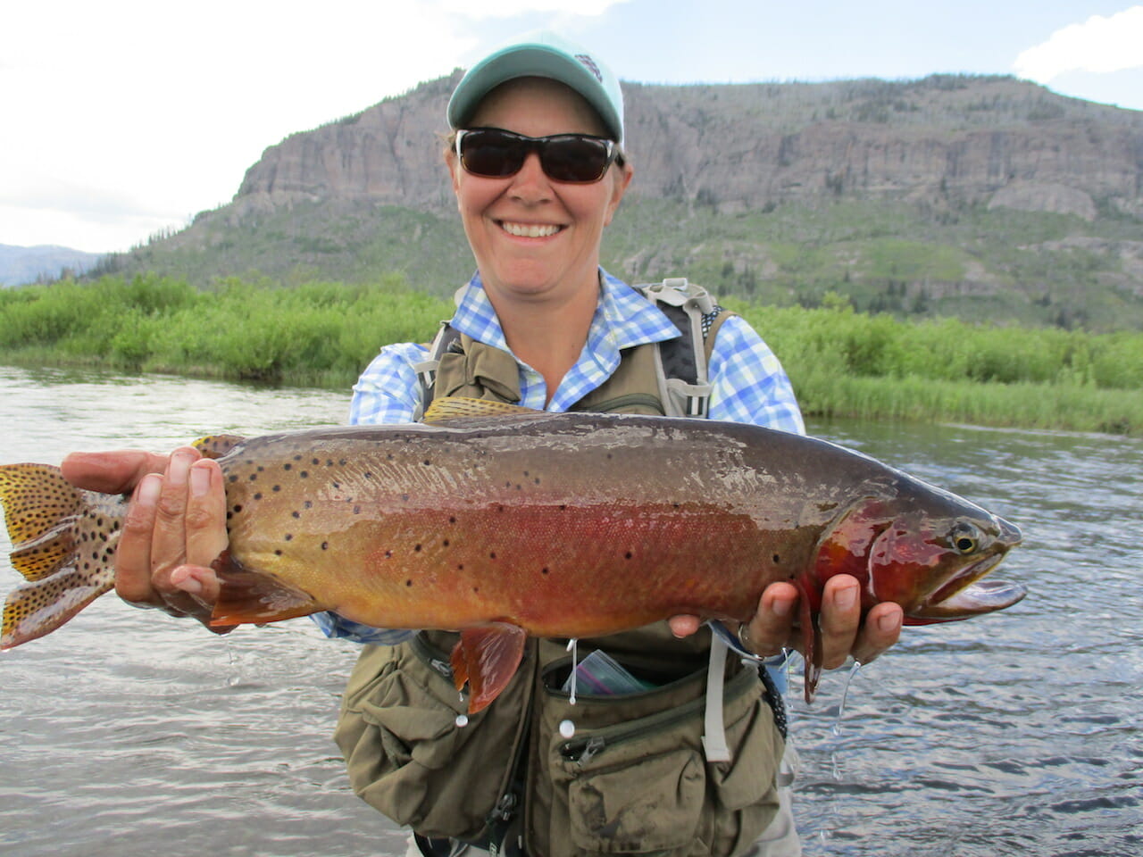 Return Of The Yellowstone Cutthroat Trout Unlimited