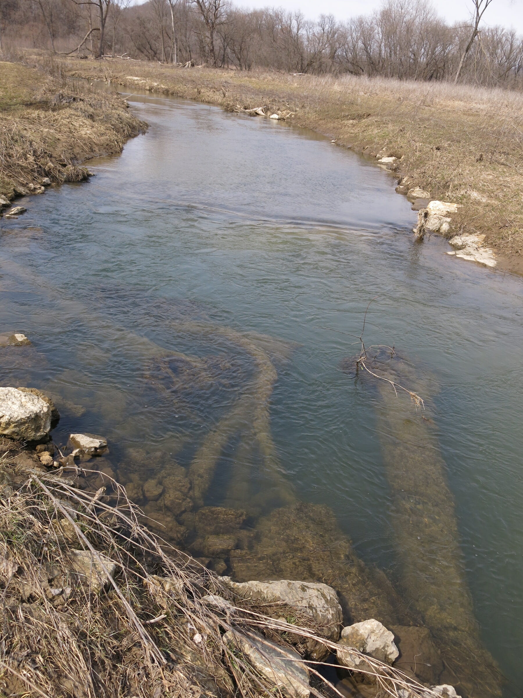 Better Fishing In The Driftless Area Trout Unlimited