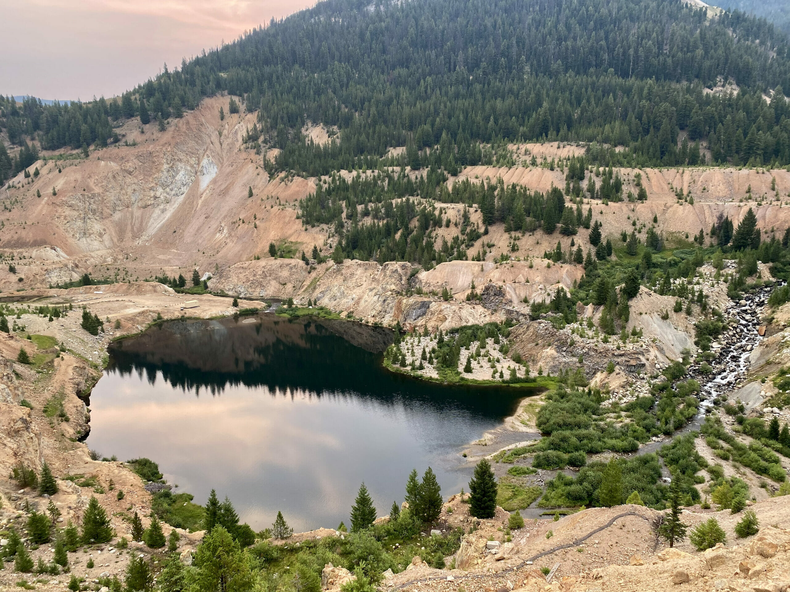 Idaho's Bull Trout Persevere As Search For Other Precious Resources