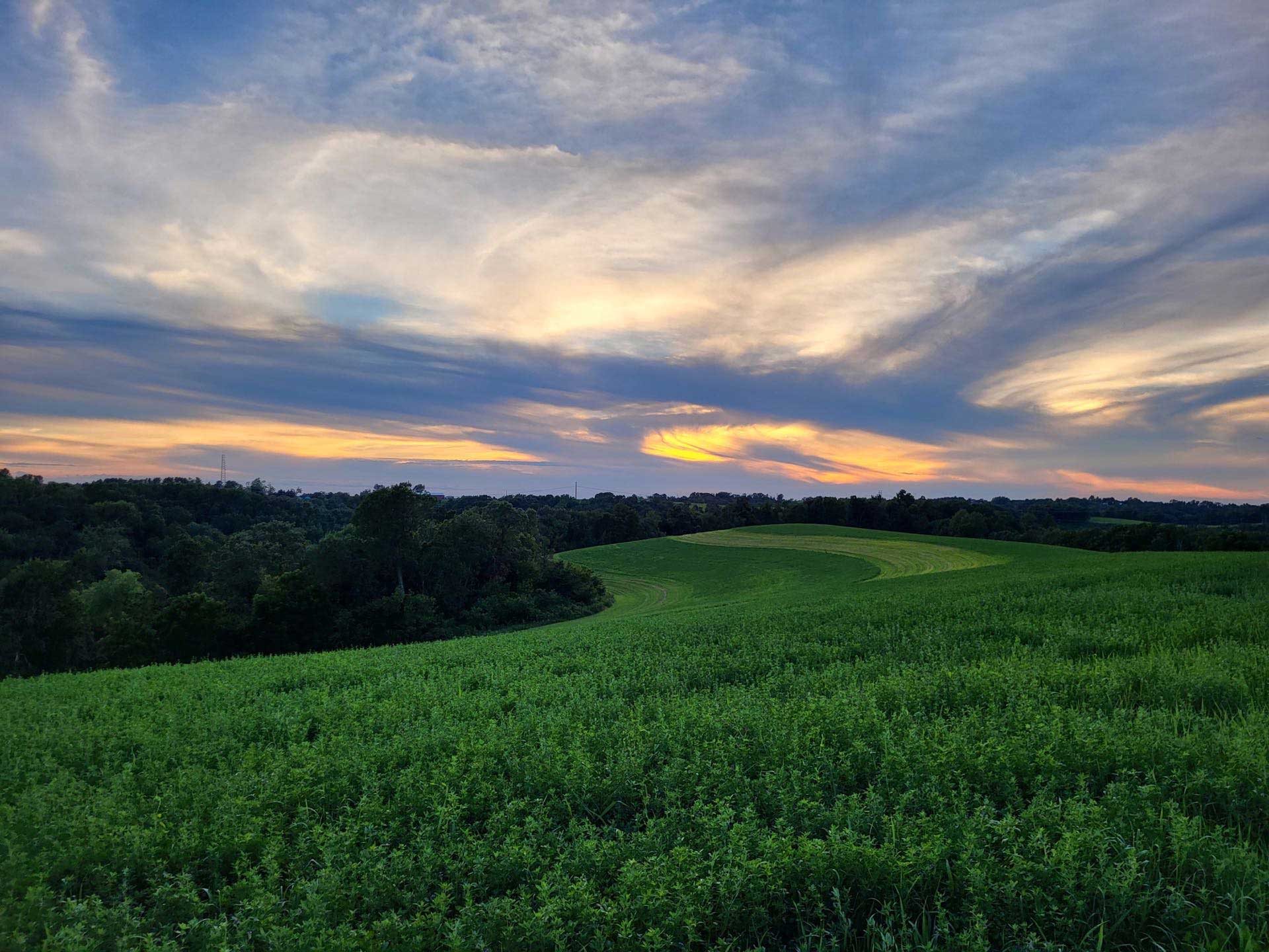 Driftless Area Restoration Effort Trout Unlimited