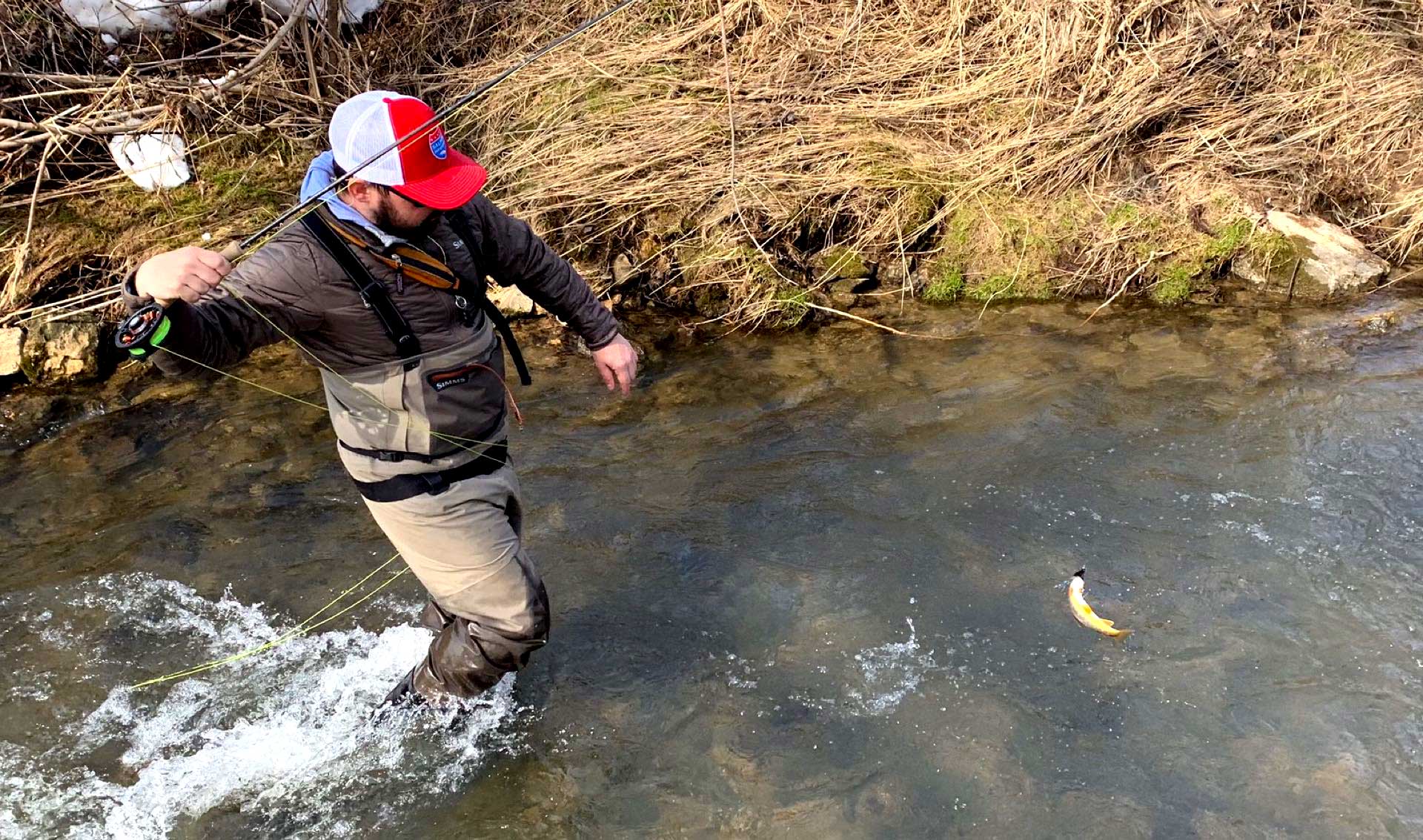 Driftless Area Restoration Effort Trout Unlimited