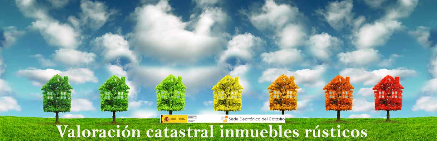 Valoración catastral de inmuebles rústicos Tu abogado defensor