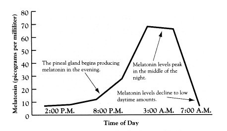 Ultimate Guide to Melatonin and Sleep | Tuck Sleep