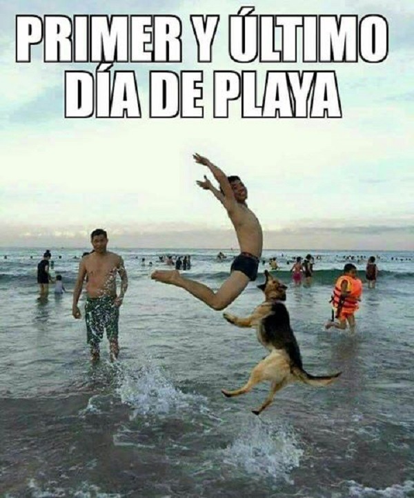 Los mejores GIF y memes de la semana para compartir por