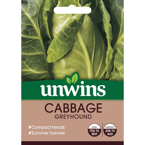Cabbage Greyhound Seed Tullyvin Garden Centre