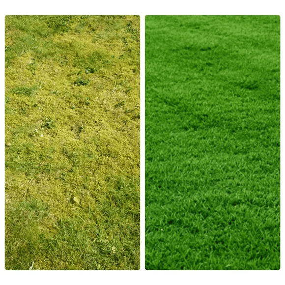 Zero Moss Lawn Liquid (Lawn Moss Control) (2.5, 5 or 10 Litre) Tullyvin Garden Centre